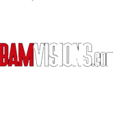 BAM Visions