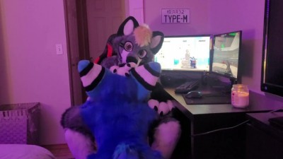 Gamer Furry Gets Sucked Off & fucks Cute Wolf Girl In Return
