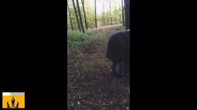 Young Russian Babe Gives Intense Blowjob in German Park (Family Outdoor Action) (+18)