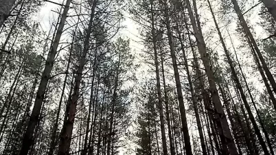 Steamy Public Anal Fuck At The Lake